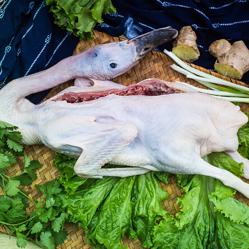 皓谦微山湖麻鸭 2年老鸭子 散养土鸭子 草鸭 笨鸭子 土鸭子1200