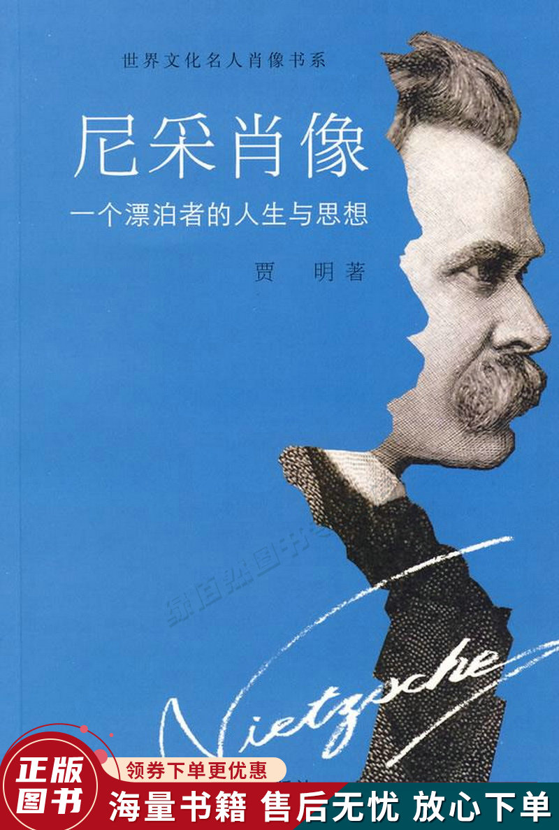 尼采肖像:一个漂泊者的人生与思想