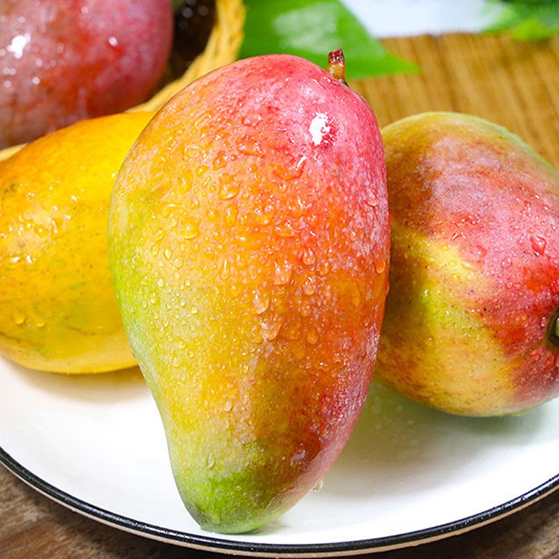 国产芒果当季生鲜水果青芒果 整箱10斤装（净重9斤）