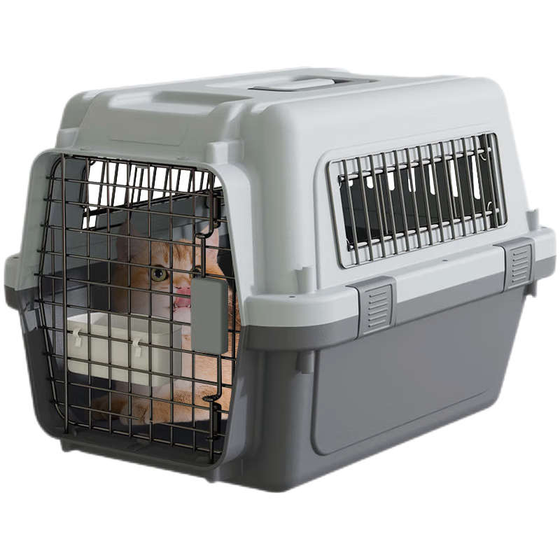 ���ڲ��������ٱ����¹�����׼�����ﺽ����è��������è�乷��������Я�������� 1�š�����18���ڳ��