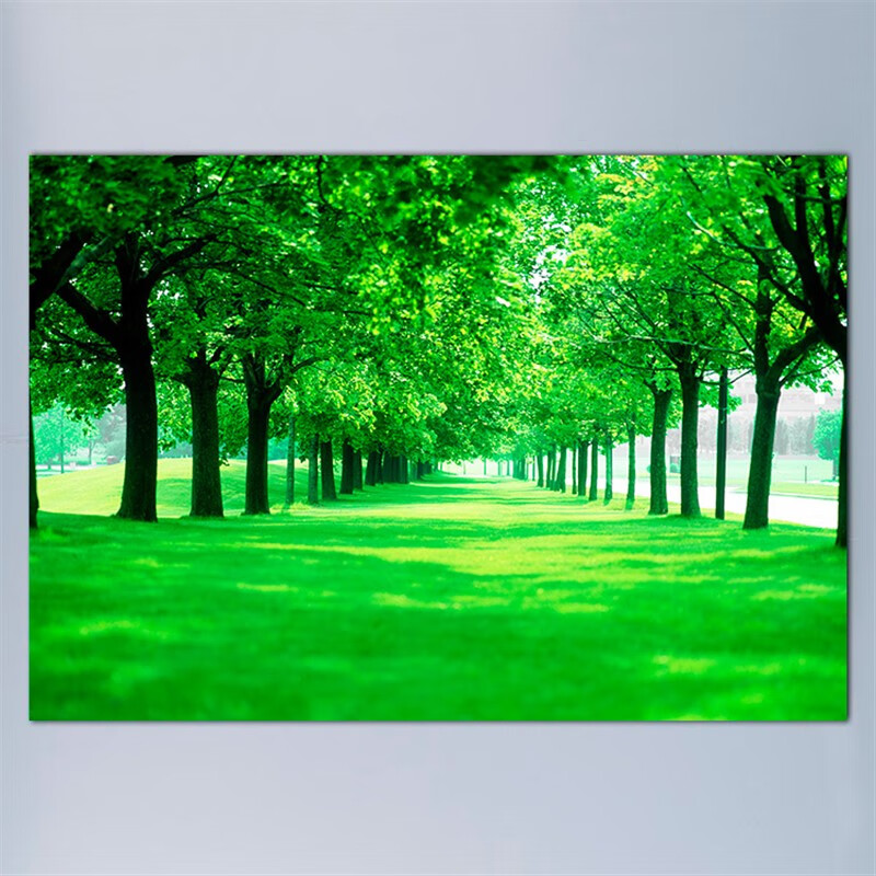 杜准瑜树林风景装饰挂画背景墙贴纸绿色图卧室客厅图绿树木森林 背胶