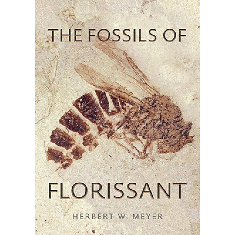 预订 The Fossils of Florissant