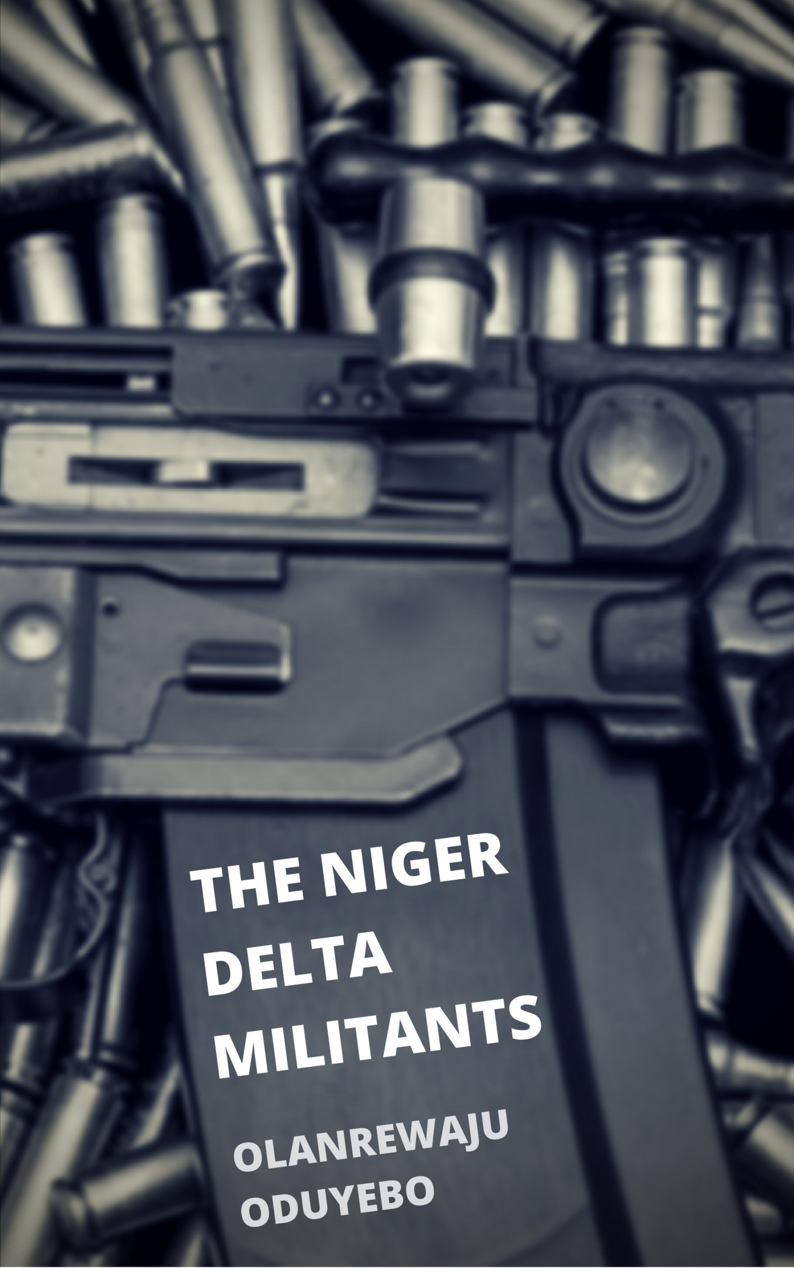 the niger delta militants