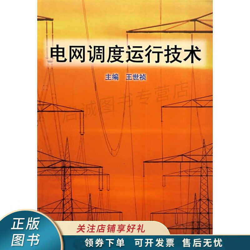 电网调度运行技术 王世祯 【稀缺图书,放心购买】