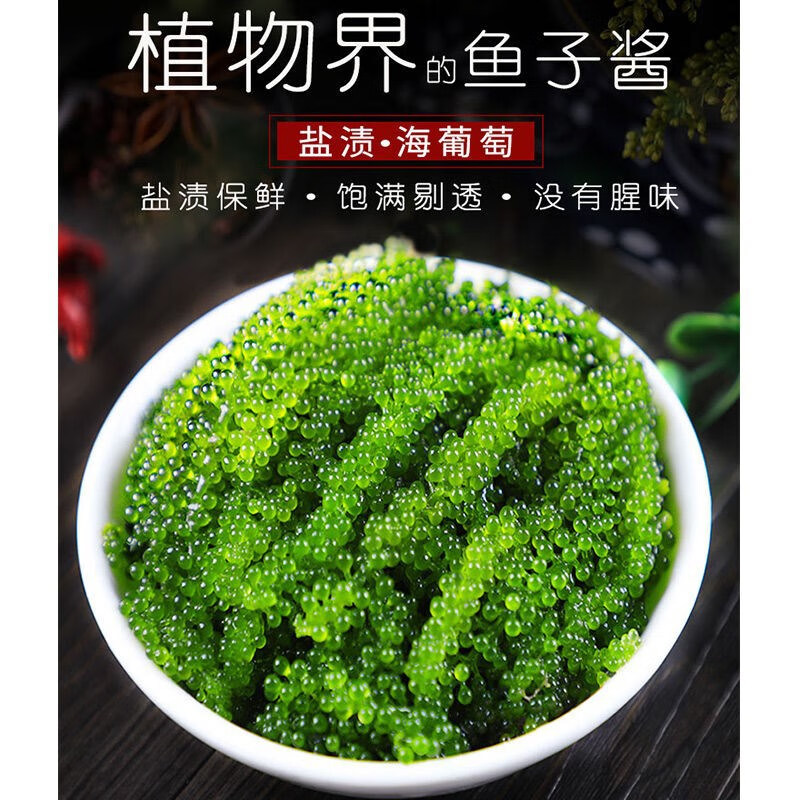 十里馋海葡萄即食100g海洋蔬菜新鲜海藻绿色海菜凉拌菜