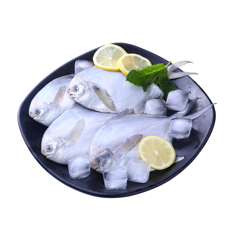 鲜到鲜得东海银鲳鱼价格走势及口感评测