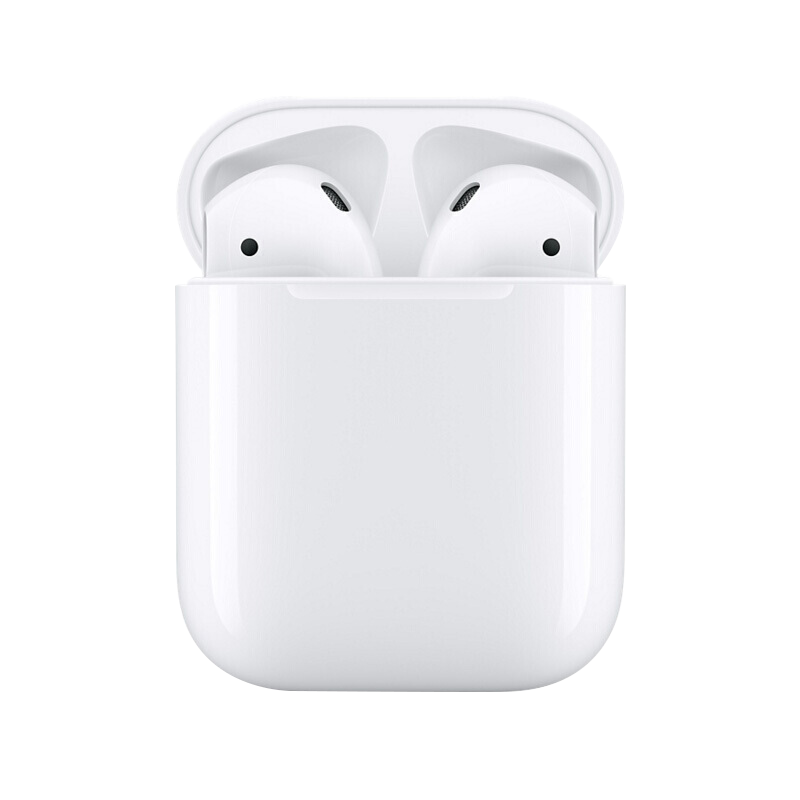 苹果（Apple） AirPods2代苹果无线蓝牙耳机二代 支持苹果手机/ipad/air3 AirPods2【有线充电版】+龙猫套 白条分期