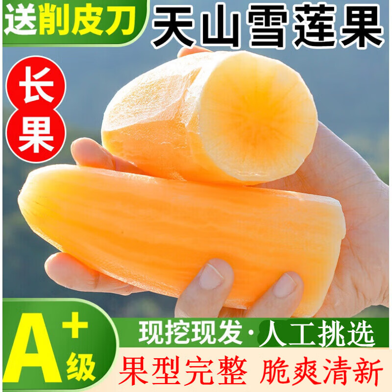 果 红心特级果新鲜红泥沙雪莲果黄心时令水果 带箱10斤精选果气柱装