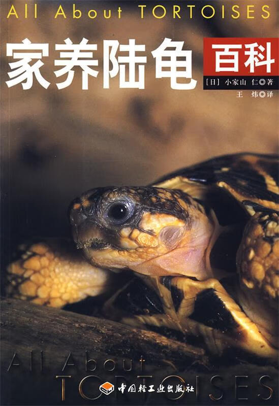 家养陆龟百科