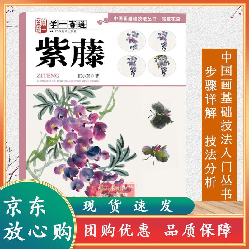 学一百通紫藤 中国画基础技法丛书 国画入门基础教材工笔画花卉技法