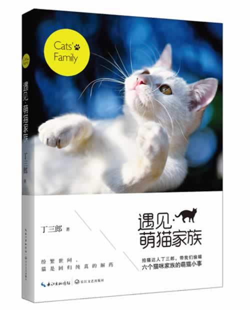 中人丁三郎,历时九年,拍到了6大萌猫家族50只猫 摄影 书籍