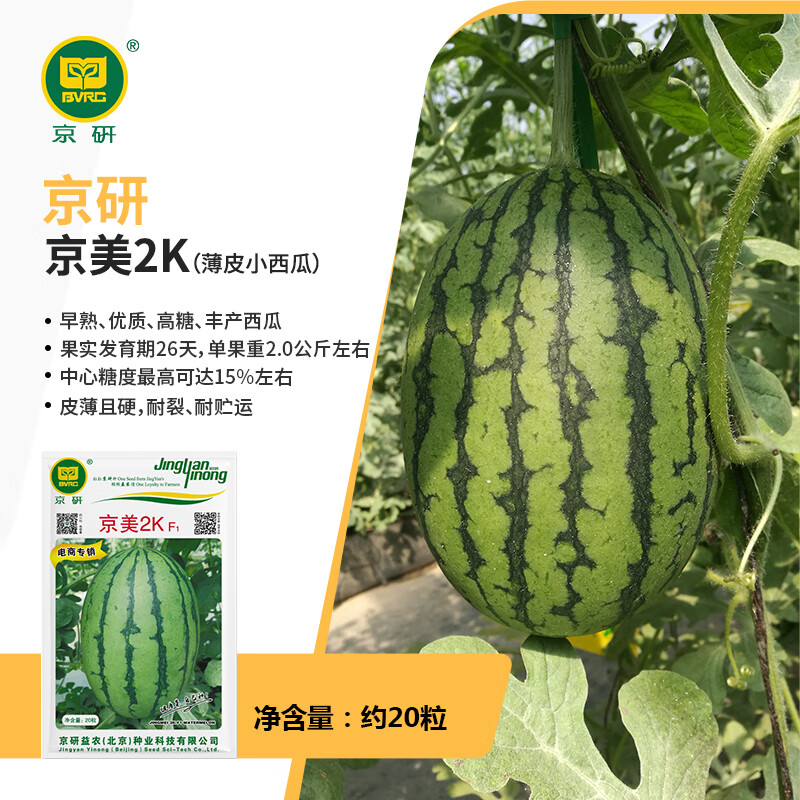 京研西瓜种子超甜小西瓜京欣8424冰糖麒麟瓜农科院西瓜苗懒汉瓜种籽孑