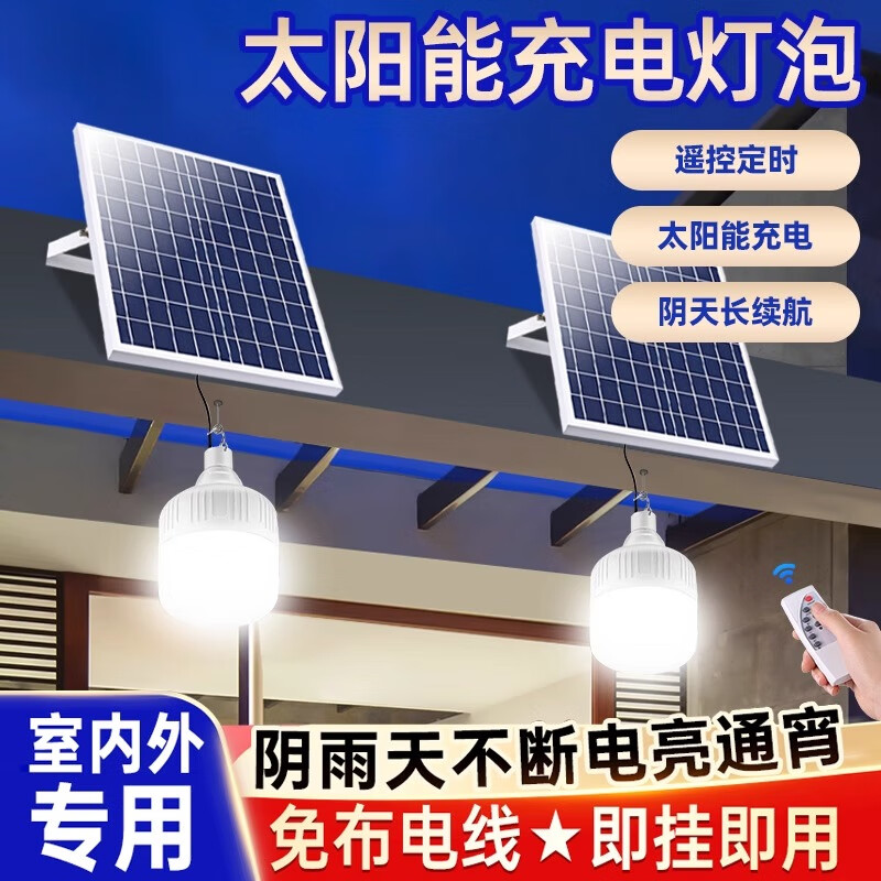 振牛2026新款太阳能户外庭院路灯家用充电室内照明一拖一分体式吊灯泡 5米紫铜线-40W-手动开关