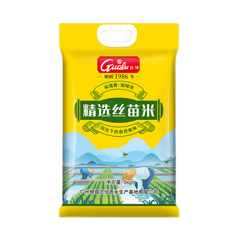 挂绿 精选丝苗米5kg （增城特产）长粒米 南方大米 籼米