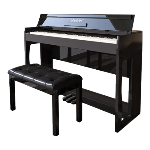 ���ڲ�����LOUDAN �����88����ʽ�ش� ľ�ƺ� ������ɫ רҵ���˳�ѧ�߼��� 650Ԫ