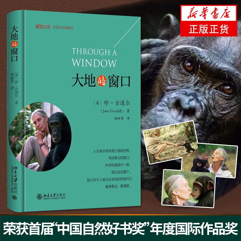 大地的窗口 生态与文明系列 科普读物书籍