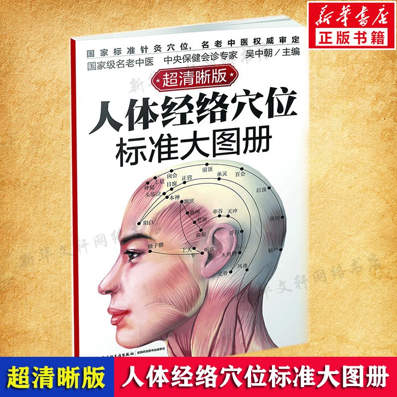 人体经络穴位图解书 人体经络穴位标准大图册超清晰 吴中朝人体穴位身体按摩图解穴位书籍 正版
