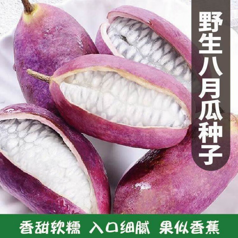 【100%新种】八月瓜种子 优质-良种【约3 o粒】新手试种