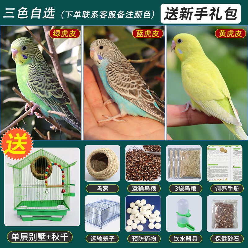 绿/蓝/黄【三色自选一只】 单层别墅笼 鸟粮 鸟窝
