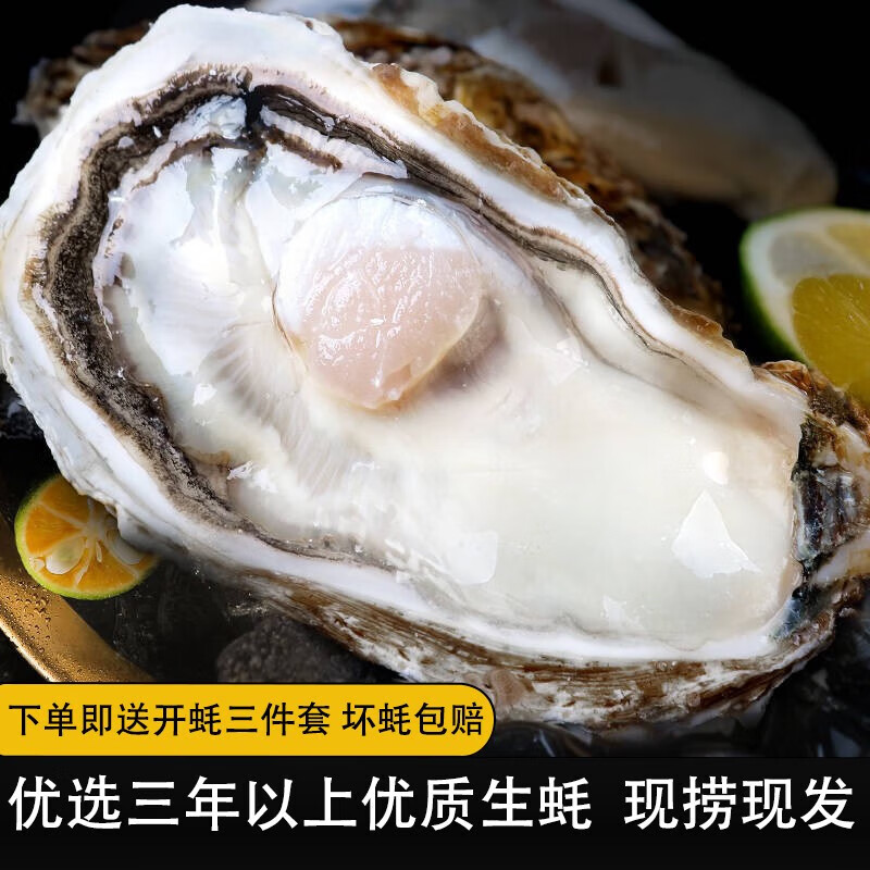 鲁禧乳山生蚝鲜活特大牡蛎 山东地标产品 新鲜海蛎子整箱 刺身级生蚝 【特大】5XL号净重4.5斤装怎么样,好用不?