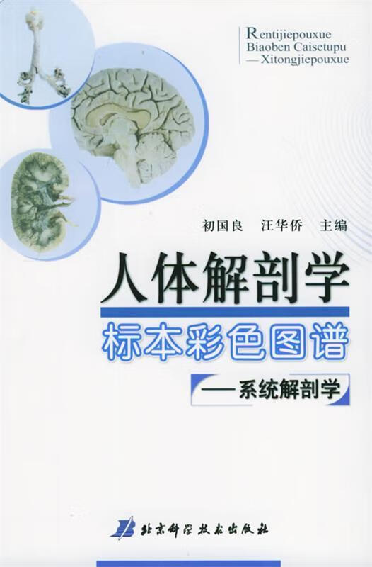 人体解剖学标本彩色图谱：系统解剖学 初国良,汪华侨 主编【正版】