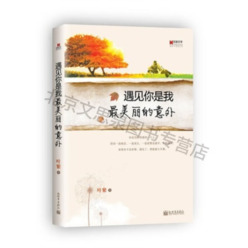 遇见你是我美丽的意外【稀缺图书,放心购买】