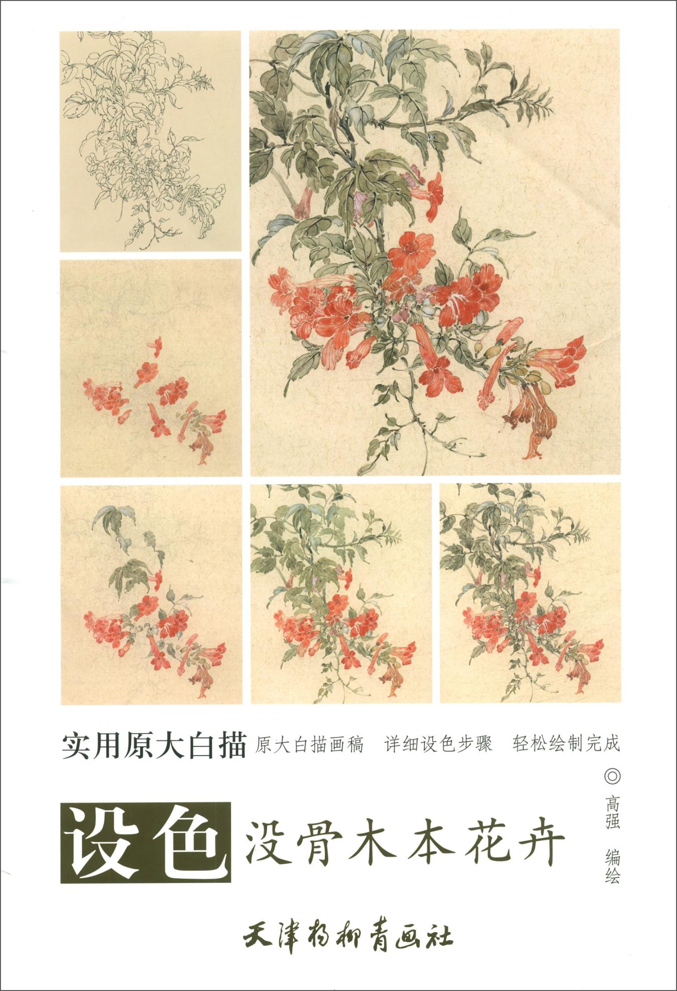 设色没骨木本花卉 绘画 书籍