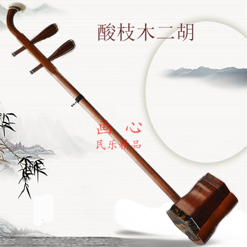 二胡红酸枝木二胡乐器 初学者演奏成人儿童通用拉弦民族乐器胡琴