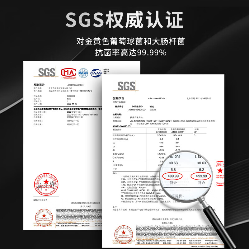 格亚(GEYA)银离子抗菌玻璃杯双层男士茶杯高档商务办公室泡茶杯车载便携定制 黑色400ml
