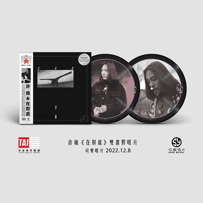 许巍专辑 lp黑胶唱片 画胶 45转 - 在别处