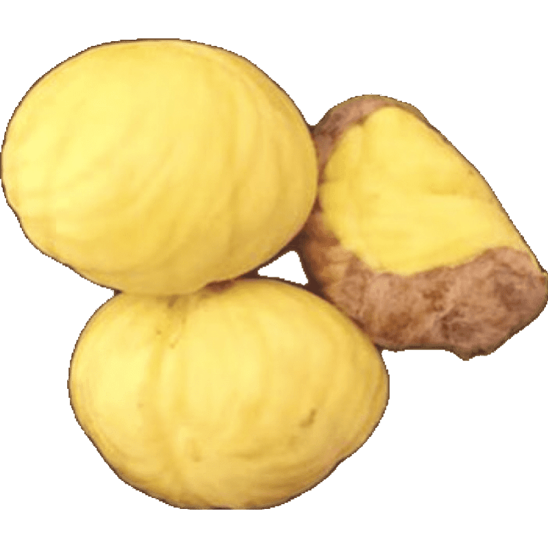 ��³ ��ʳ������ 100g��װ ������ 4.63Ԫ