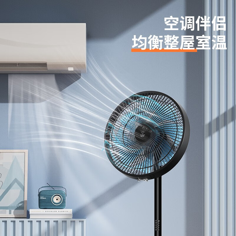 钻石牌(DIAMOND)风扇落地扇电风扇家用落地风扇办公轻音节省办公室立式风扇客厅大风力定时遥控机械摇头电扇 FS-35B【八叶/机械】