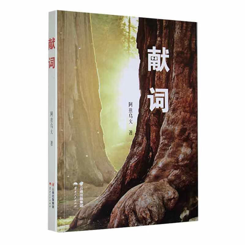 献词文学  图书