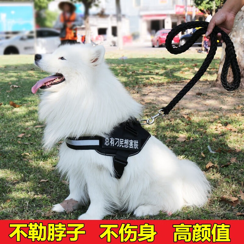使用感受参数宠德多狗狗牵引绳评价真的好吗，内幕反馈一下