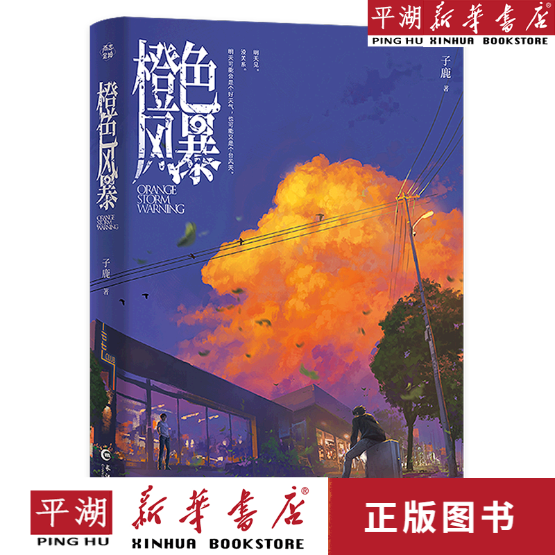 【新华书店正版书籍】橙色风暴