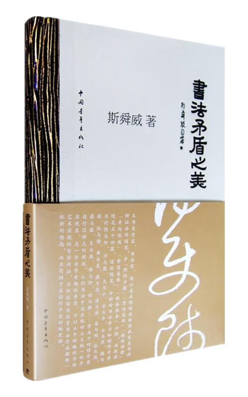 书法矛盾之美【正版好书，下单速发】