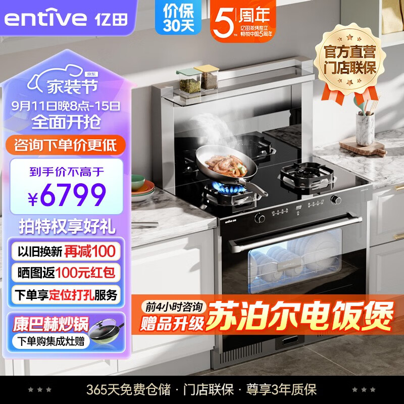亿田（entive） 集成灶 家用一体灶 17.5超强吸力 国家一级能效 D6GX 集成灶消毒柜 D6GX 管道天然气