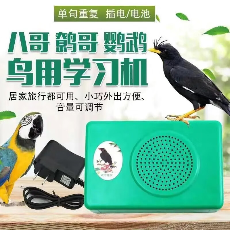 洁西 鹩哥 八哥 鹦鹉 学习机 鸟用学话复读机 学话机 学话器