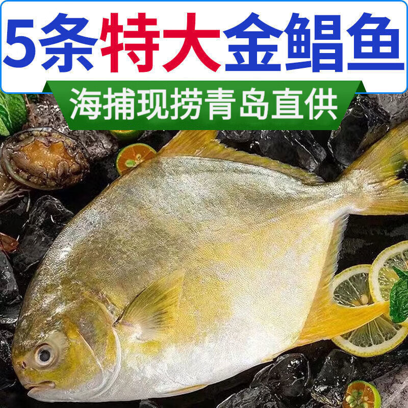 順豐速運(yùn)金鯧魚(yú)新鮮冷凍特大號(hào)深海昌魚(yú)平魚(yú)海魚(yú)類(lèi)海鮮水產(chǎn) 特大號(hào)【1-1.2斤】 6條裝