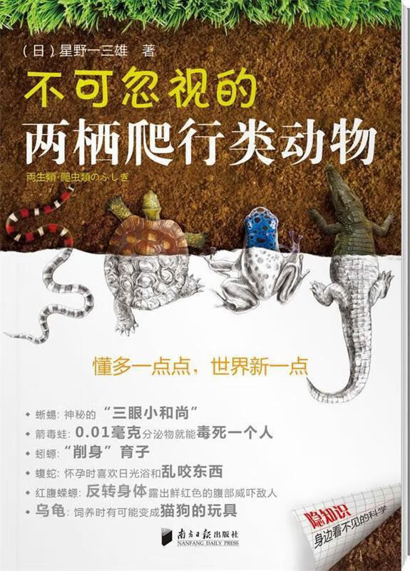 不可忽视的两栖爬行类动物