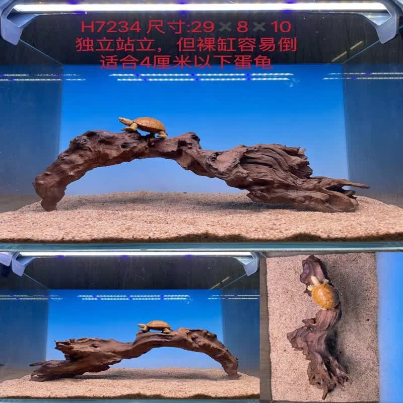 森渊(senyuan) 紫柚木拱桥型沉木大型鱼缸造景摆件天然树枝已煮秒沉