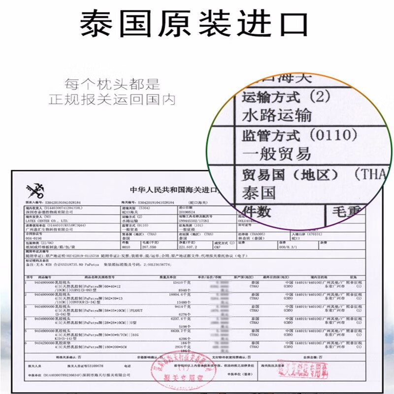 PAPATYA泰国进口天然乳胶枕儿童 3-14岁大小儿童乳胶枕防螨除菌枕芯透气 P4 大儿童款