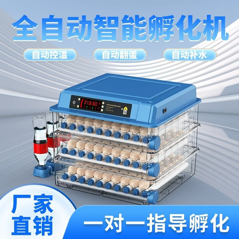 Theday孵蛋器水床小鸡蛋芦丁孵化器小型机器家用全自动智能孵化机孵化箱 12枚双电