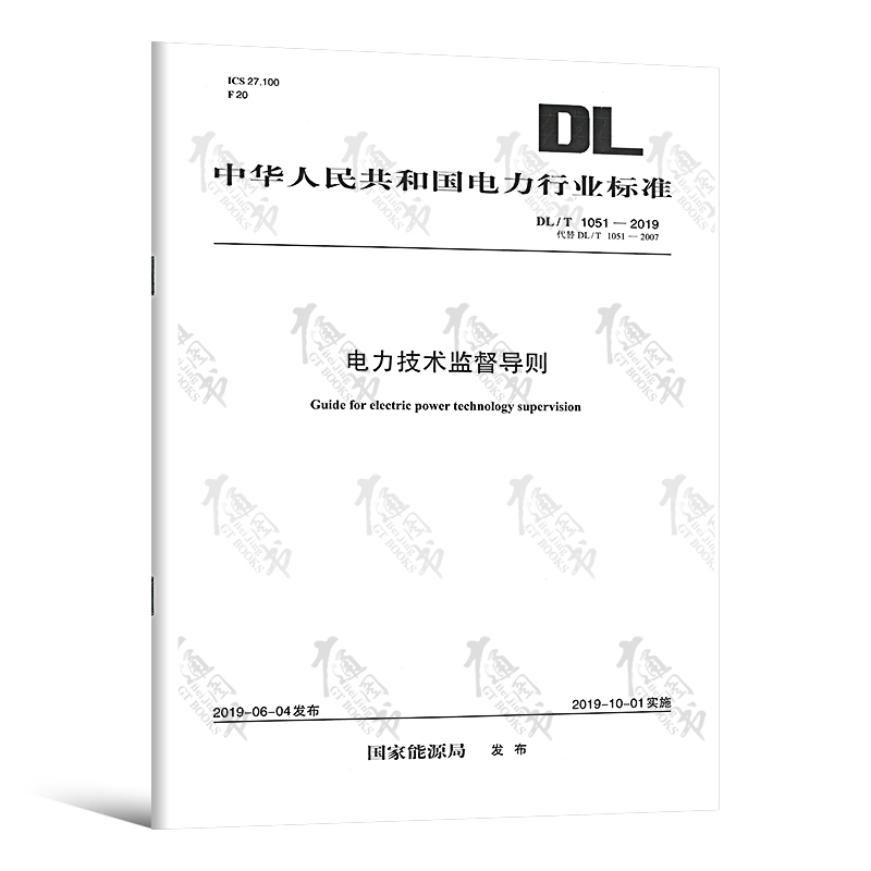 【按需印刷】DL/T 1051—2019 电力技术监督导则（代替DL/T 1051—2007）