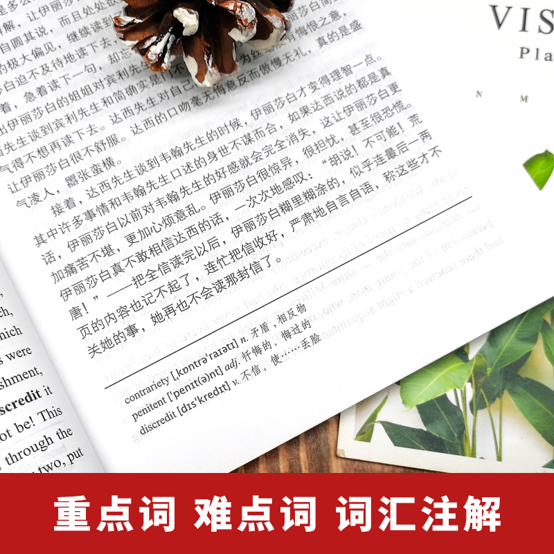 赠同步音频|傲慢与偏见中英对照英汉双语正版傲慢与偏见英文版原版 傲慢与偏见中英对照完整版世界名著文学小说读物