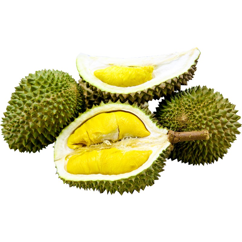 马猫 猫山王榴莲马来西亚巴掌大榴莲 生鲜液氮冷冻保鲜水果d197带壳