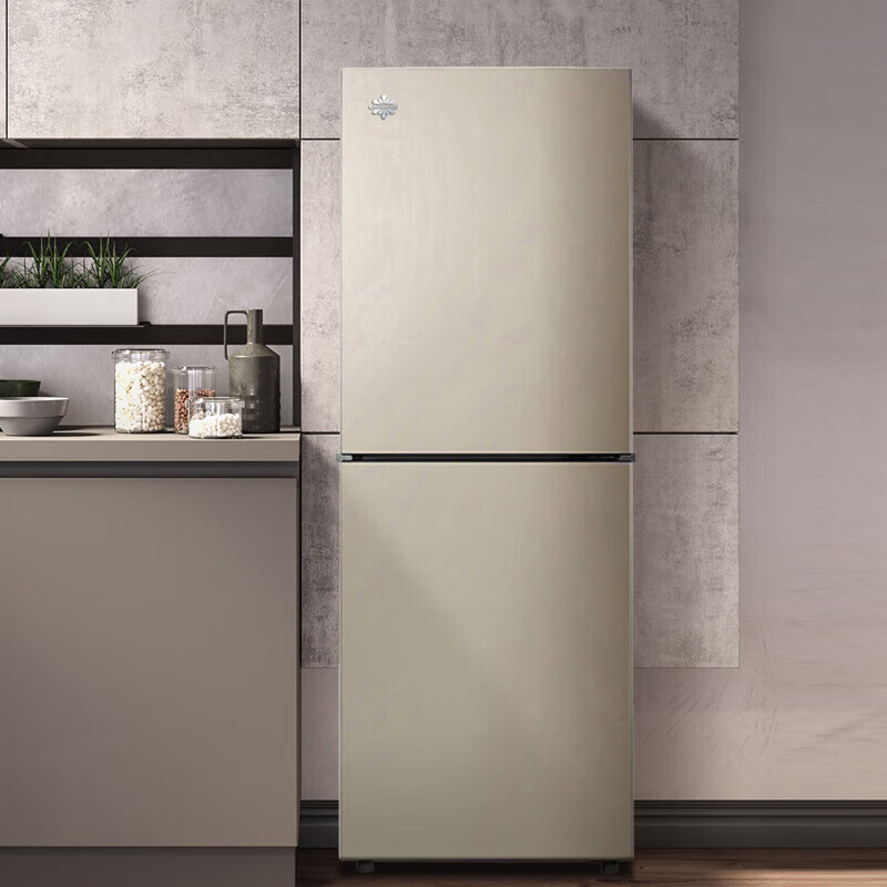 格力（GREE）晶弘冰箱226升双开门出租房办公室家用风冷无霜小巧不占地小巧不占地节能变频BCD-226WECL/现代金