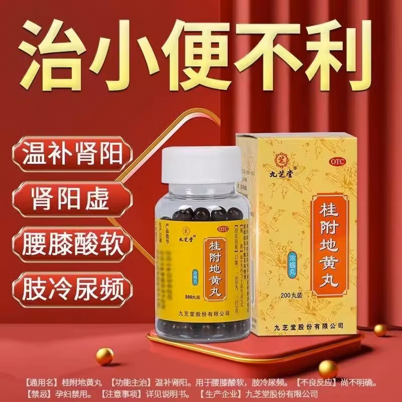 桂附地黄丸 200丸补肾养精强身肾阳虚肾虚男补品尿频男性调理 200丸 x