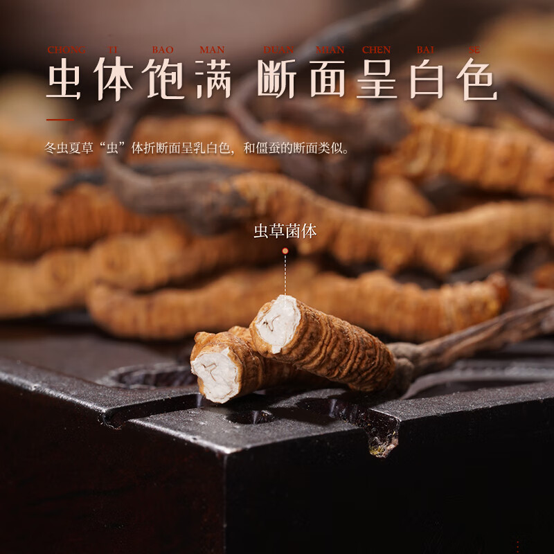 胡庆余堂冬虫夏草野生高档皮质礼盒天号约4根/克中秋节教师节礼物营养补品 约4根/克 10g*1盒 【高档皮质礼盒】