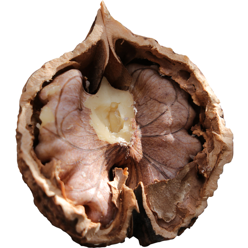 恋剥新货云南老树核桃尖嘴紫衣紫皮核桃5斤